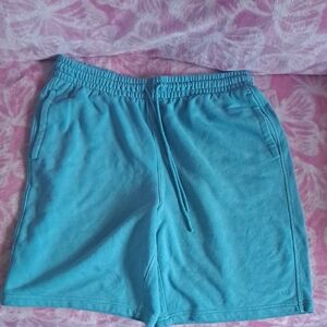 DSG Men's Aqua Drawstring Athletic Shorts